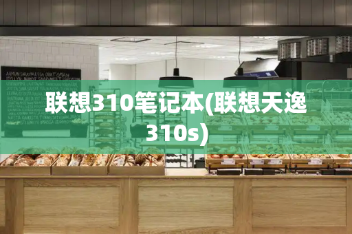 联想310笔记本(联想天逸310s)-第1张图片-星选测评