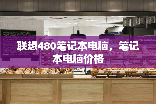 联想480笔记本电脑，笔记本电脑价格-第1张图片-星选测评