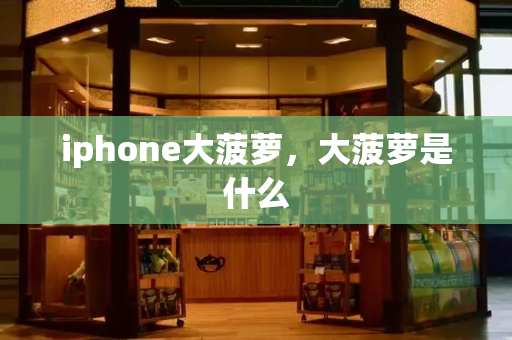 iphone大菠萝，大菠萝是什么-第1张图片-星选测评