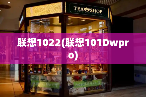 联想1022(联想101Dwpro)