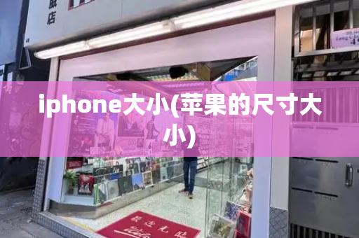 iphone大小(苹果的尺寸大小)-第1张图片-星选测评