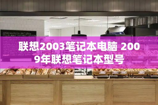 联想2003笔记本电脑 2009年联想笔记本型号-第1张图片-星选测评
