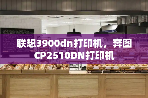 联想3900dn打印机，奔图CP2510DN打印机