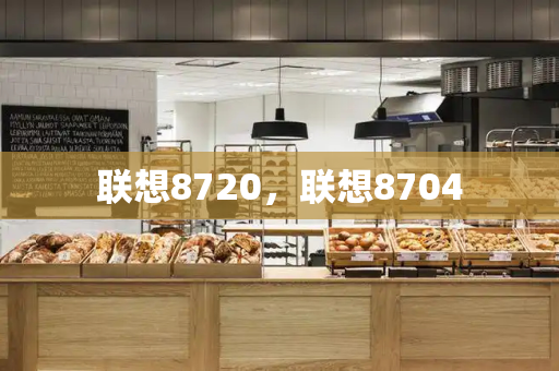 联想8720，联想8704-第1张图片-星选测评