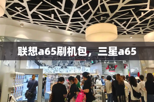 联想a65刷机包，三星a65