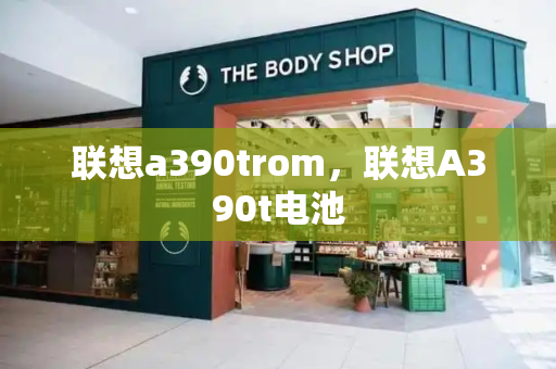 联想a390trom，联想A390t电池