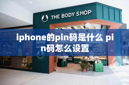 iphone的pin码是什么 pin码怎么设置-第1张图片-星选测评
