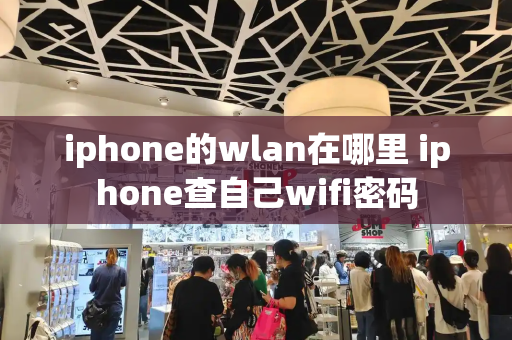 iphone的wlan在哪里 iphone查自己wifi密码-第1张图片-星选测评