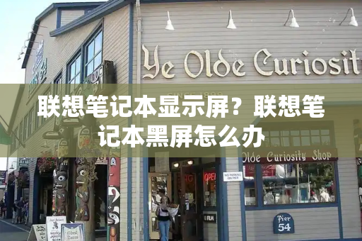 联想笔记本显示屏？联想笔记本黑屏怎么办-第1张图片-星选测评