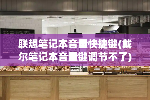 联想笔记本音量快捷键(戴尔笔记本音量键调节不了)