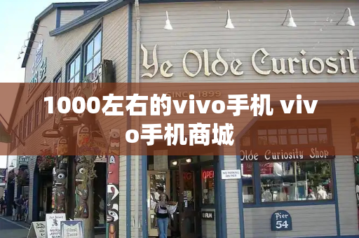1000左右的vivo手机 vivo手机商城-第1张图片-星选测评