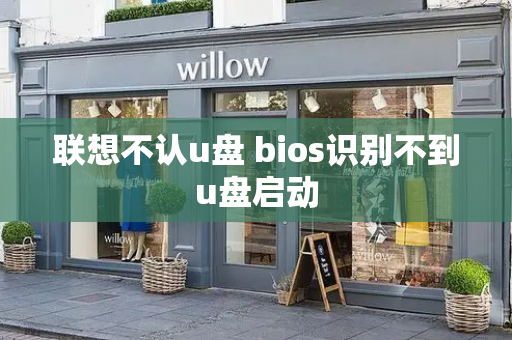 联想不认u盘 bios识别不到u盘启动-第1张图片-星选测评