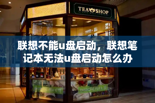 联想不能u盘启动，联想笔记本无法u盘启动怎么办-第1张图片-星选测评