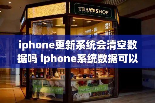 iphone更新系统会清空数据吗 iphone系统数据可以删除吗-第1张图片-星选测评