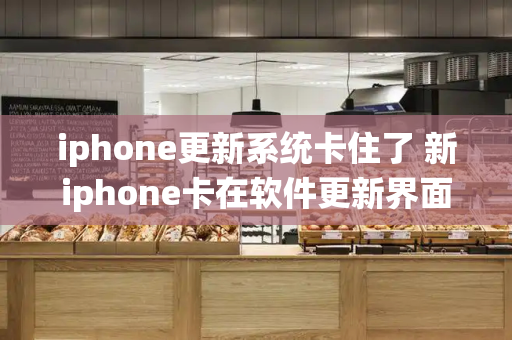 iphone更新系统卡住了 新iphone卡在软件更新界面