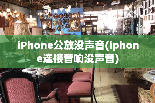 iPhone公放没声音(iphone连接音响没声音)