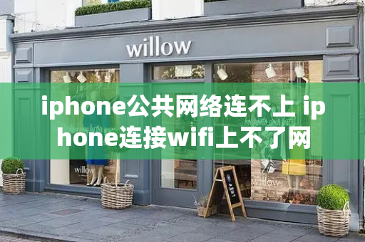 iphone公共网络连不上 iphone连接wifi上不了网-第1张图片-星选测评