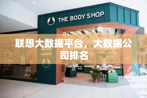 联想大数据平台，大数据公司排名