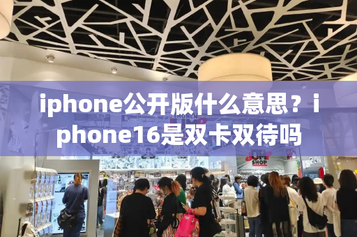 iphone公开版什么意思？iphone16是双卡双待吗-第1张图片-星选测评