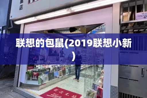 联想的包鼠(2019联想小新)-第1张图片-星选测评