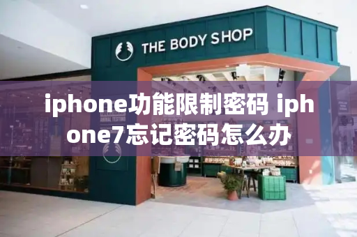iphone功能限制密码 iphone7忘记密码怎么办-第1张图片-星选测评
