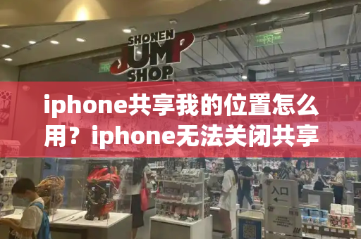 iphone共享我的位置怎么用？iphone无法关闭共享我的位置-第1张图片-星选测评