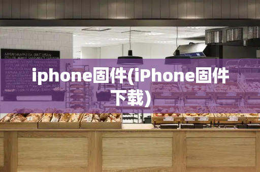 iphone固件(iPhone固件下载)-第1张图片-星选测评