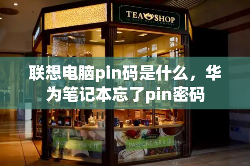 联想电脑pin码是什么，华为笔记本忘了pin密码-第1张图片-星选测评