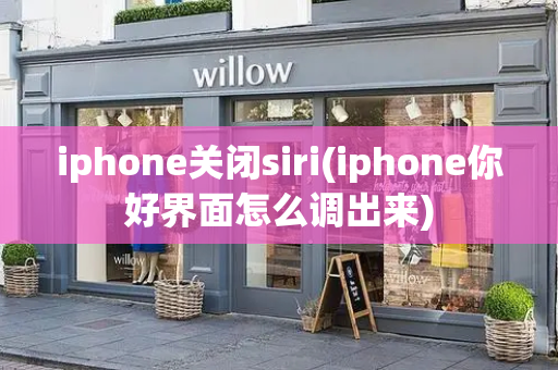 iphone关闭siri(iphone你好界面怎么调出来)-第1张图片-星选测评
