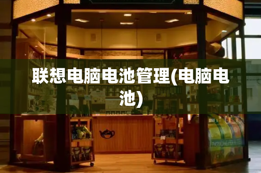 联想电脑电池管理(电脑电池)-第1张图片-星选测评