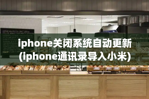 iphone关闭系统自动更新(iphone通讯录导入小米)-第1张图片-星选测评