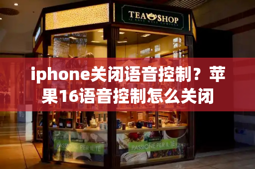 iphone关闭语音控制？苹果16语音控制怎么关闭-第1张图片-星选测评