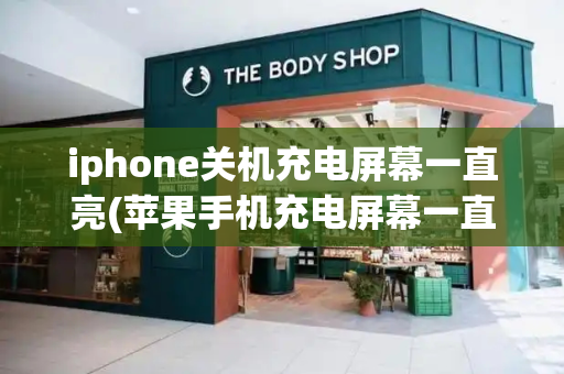 iphone关机充电屏幕一直亮(苹果手机充电屏幕一直亮着咋回事)-第1张图片-星选测评