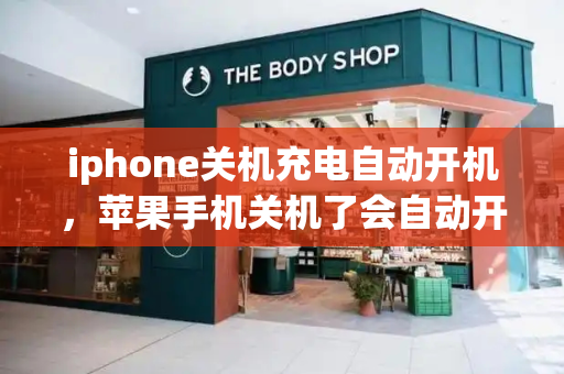 iphone关机充电自动开机，苹果手机关机了会自动开机吗-第1张图片-星选测评