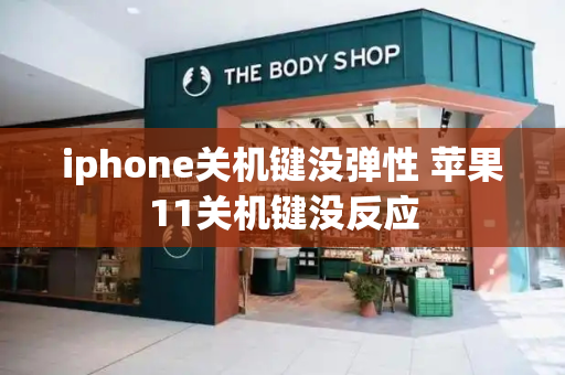 iphone关机键没弹性 苹果11关机键没反应