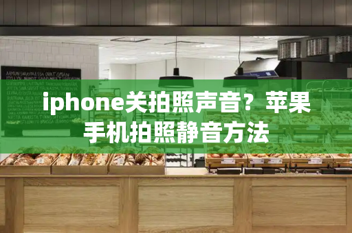 iphone关拍照声音？苹果手机拍照静音方法