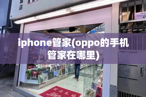 iphone管家(oppo的手机管家在哪里)