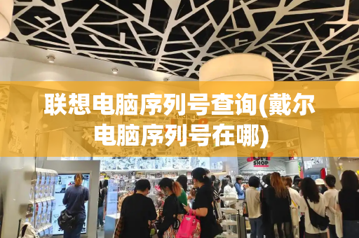 联想电脑序列号查询(戴尔电脑序列号在哪)