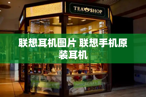 联想耳机图片 联想手机原装耳机-第1张图片-星选测评