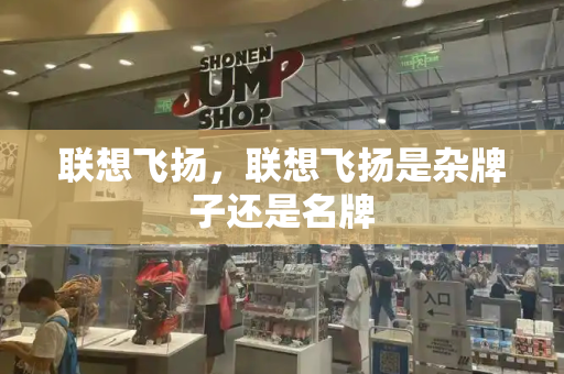 联想飞扬，联想飞扬是杂牌子还是名牌-第1张图片-星选测评