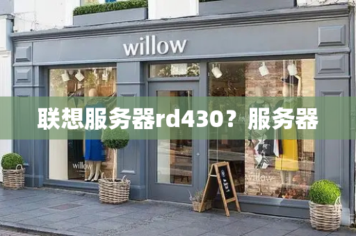 联想服务器rd430？服务器