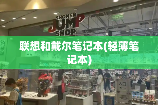 联想和戴尔笔记本(轻薄笔记本)