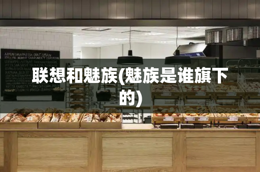 联想和魅族(魅族是谁旗下的)