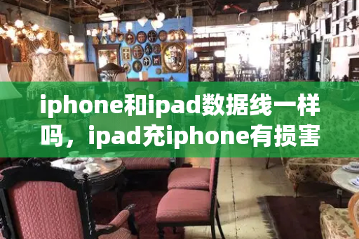 iphone和ipad数据线一样吗，ipad充iphone有损害吗