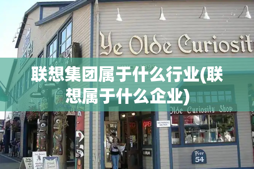 联想集团属于什么行业(联想属于什么企业)