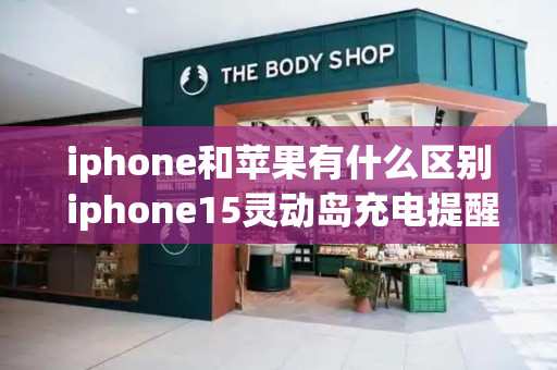 iphone和苹果有什么区别 iphone15灵动岛充电提醒-第1张图片-星选测评