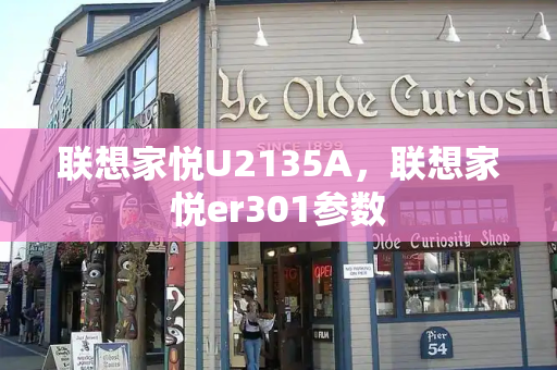 联想家悦U2135A，联想家悦er301参数