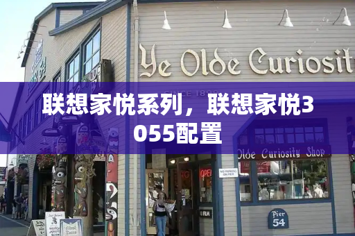 联想家悦系列，联想家悦3055配置-第1张图片-星选测评