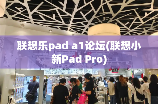 联想乐pad a1论坛(联想小新Pad Pro)