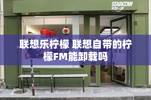 联想乐柠檬 联想自带的柠檬FM能卸载吗